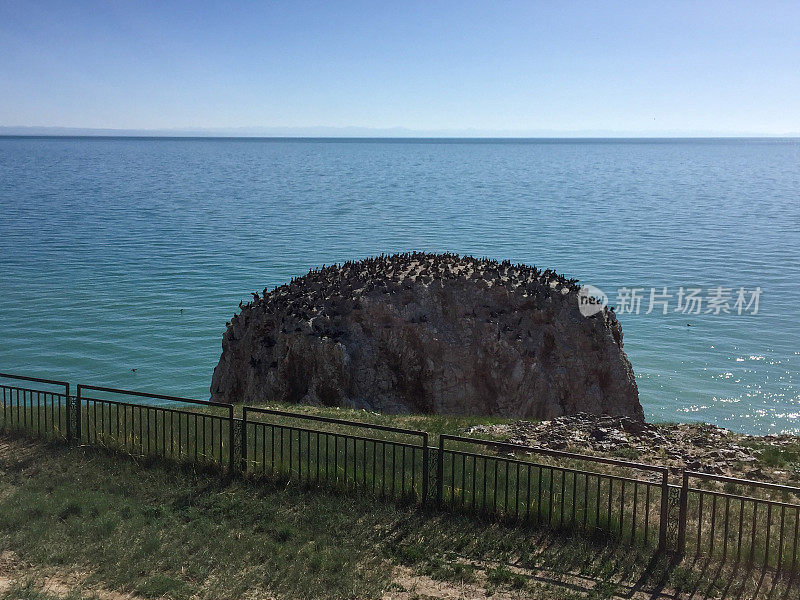 中国青海湖的鸟岛