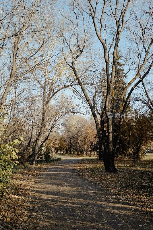 埃德蒙顿河谷步道的景色