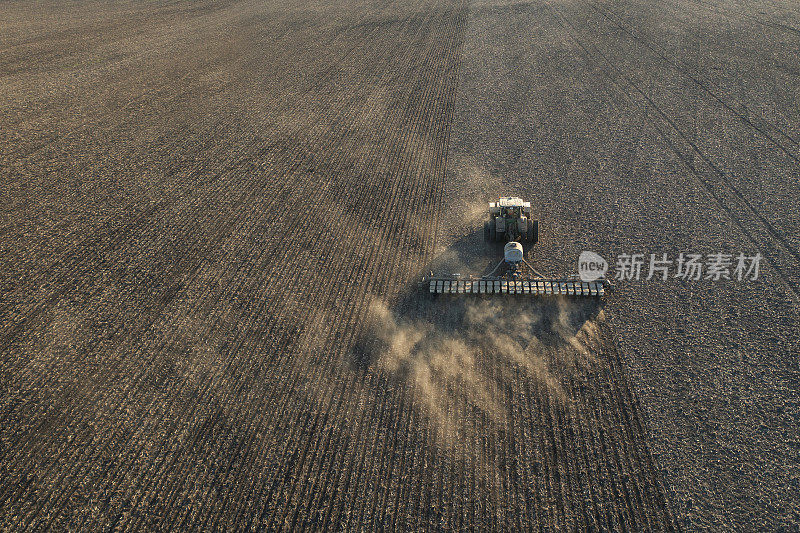 利用日落免耕播种机技术在农田上播种玉米的拖拉机。