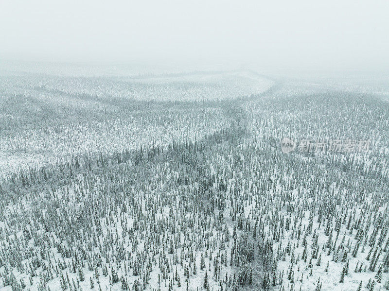 加拿大育空地区冬季暴雪过后的北方自然森林鸟瞰图