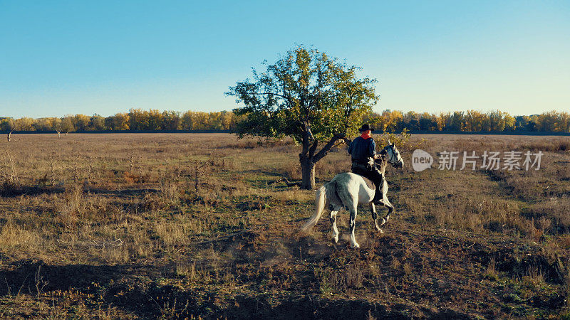 一个穿着牛仔装的人骑着白马穿过广阔的田野