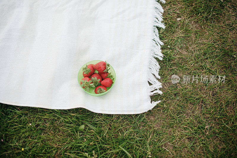 在野餐毯上放草莓的碗