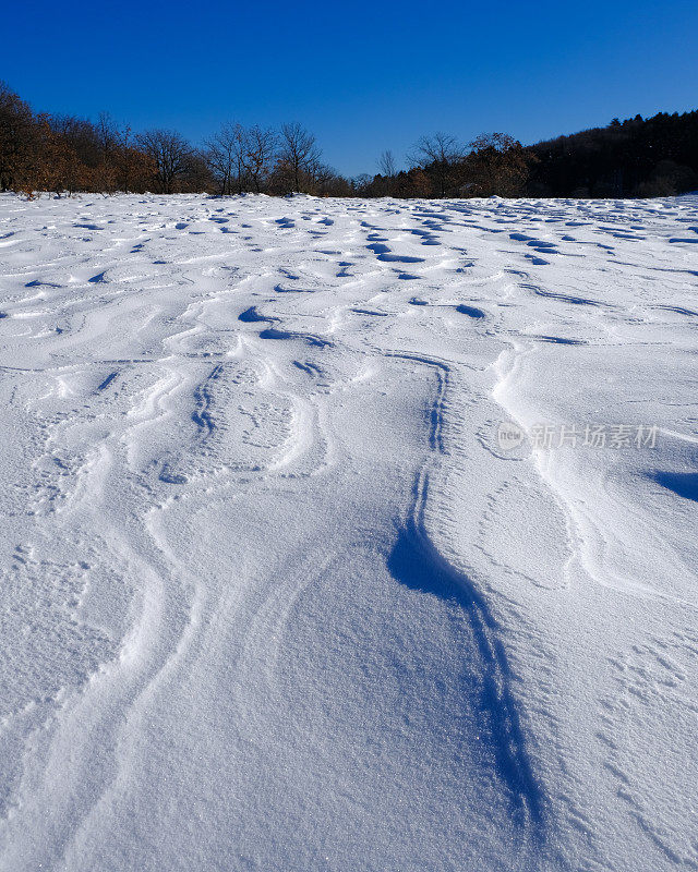 风模拟雪