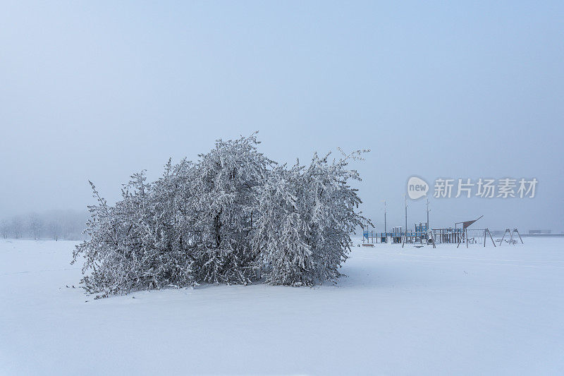 冬天早晨的Kipsala岛海滩