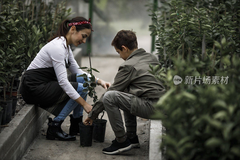 微笑着学习生物学的少年