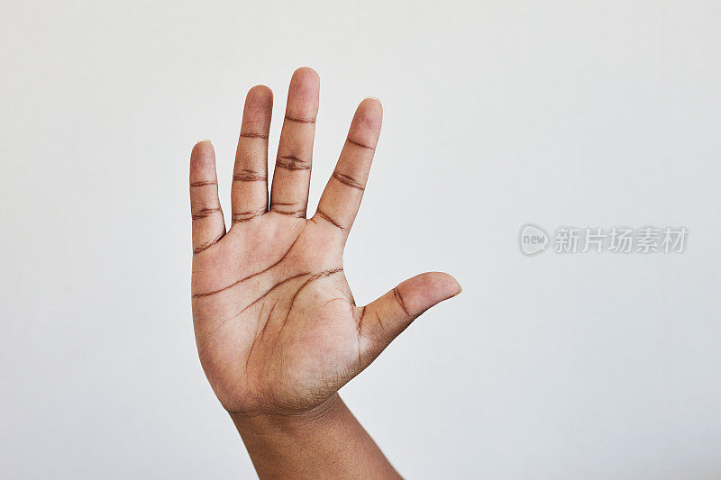 手掌，手或数字孤立的工作室背景的数学，教师交流或手语手势。变焦，模型或女人与计数手指，倒计时计时器和模拟停止