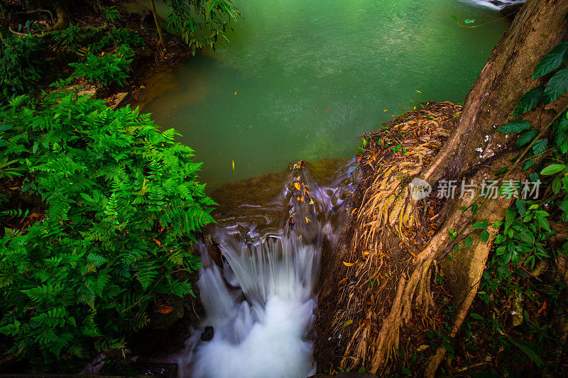 梯级河中绿树翠绿的热带雨林水