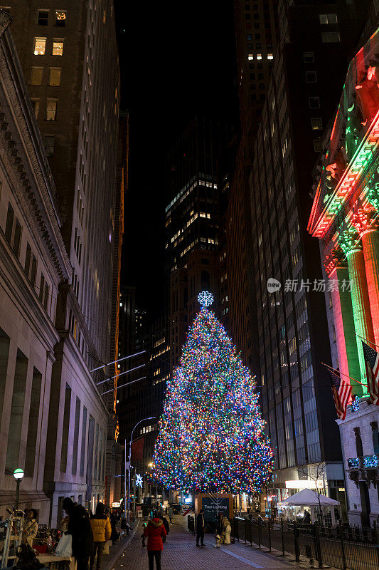 纽约新年。城市里的圣诞树。