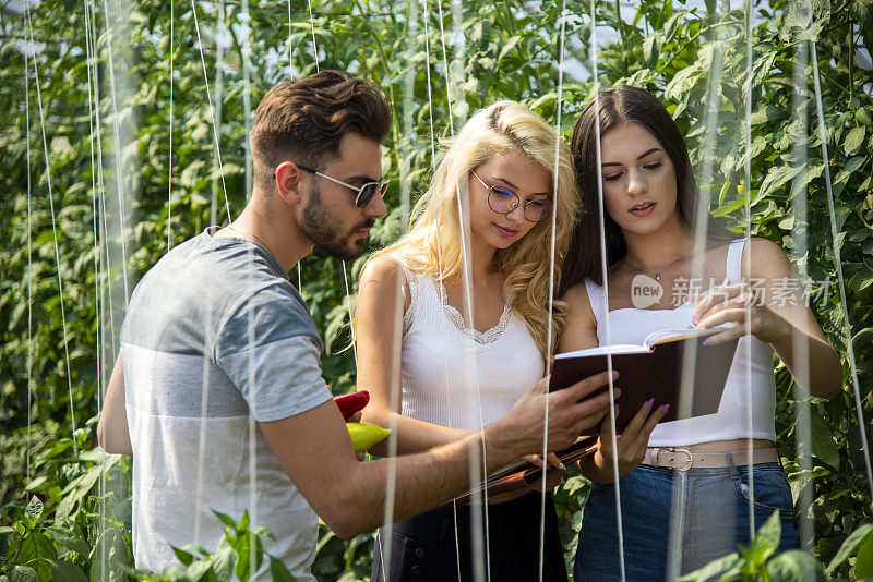 美丽的农业综合企业学生在大学的温室里工作。