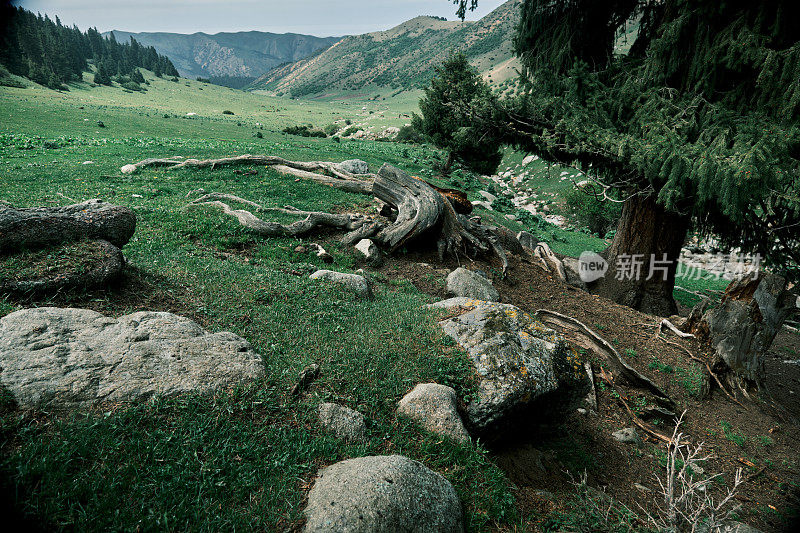 山间河流