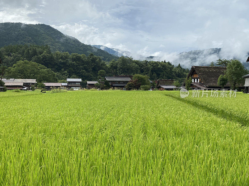 日本——白川乡