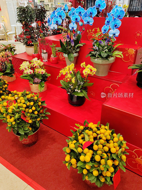 中国新年花卉装饰