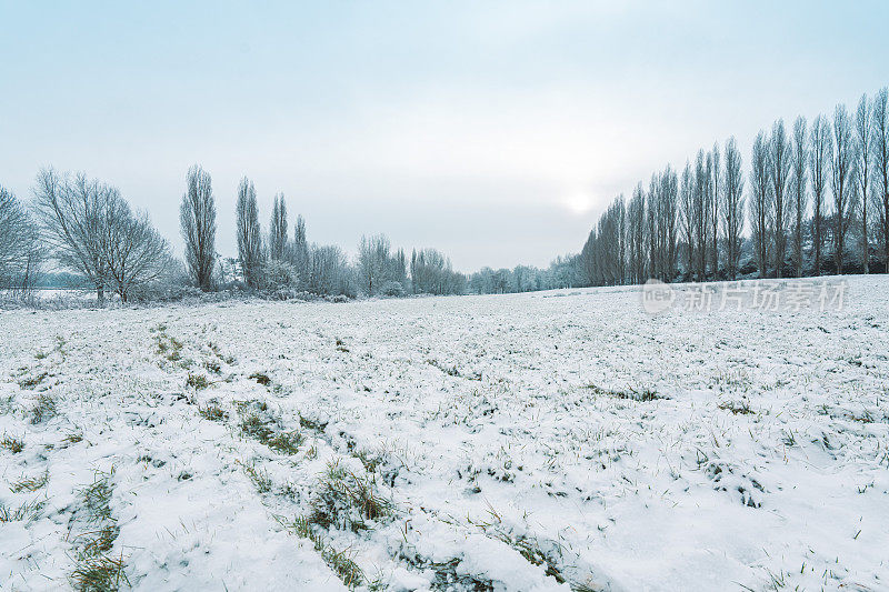 一个寒冷的早晨，本季的第一层雪