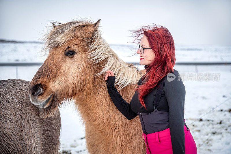 年轻女子在草地上抚摸冰岛马