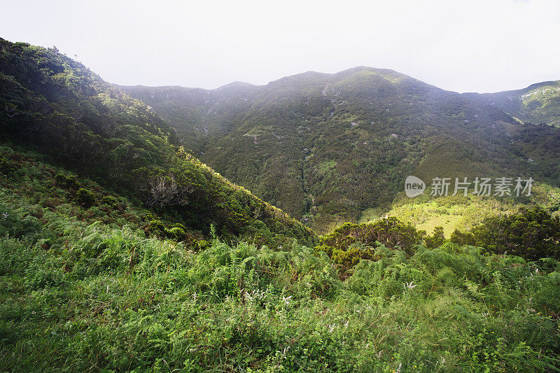 亚速尔群岛景观