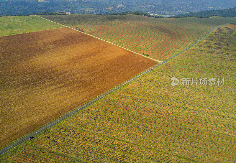 法国普罗旺斯迷人的薰衣草田风景。