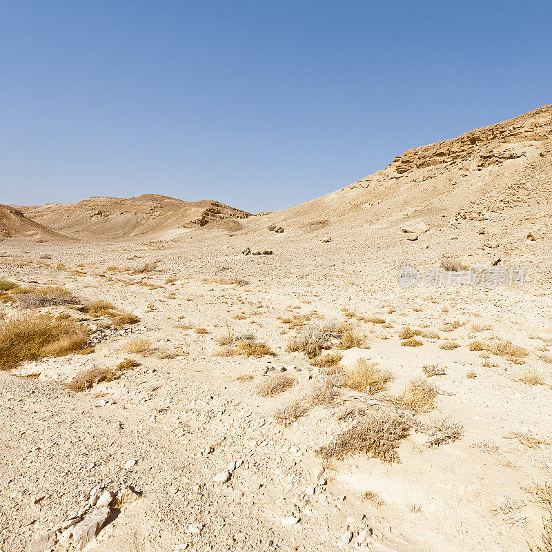 以色列沙漠的忧郁和空虚。