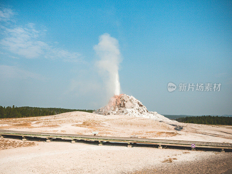 白色圆顶间歇泉喷发，木板路，黄石国家公园，怀俄明州