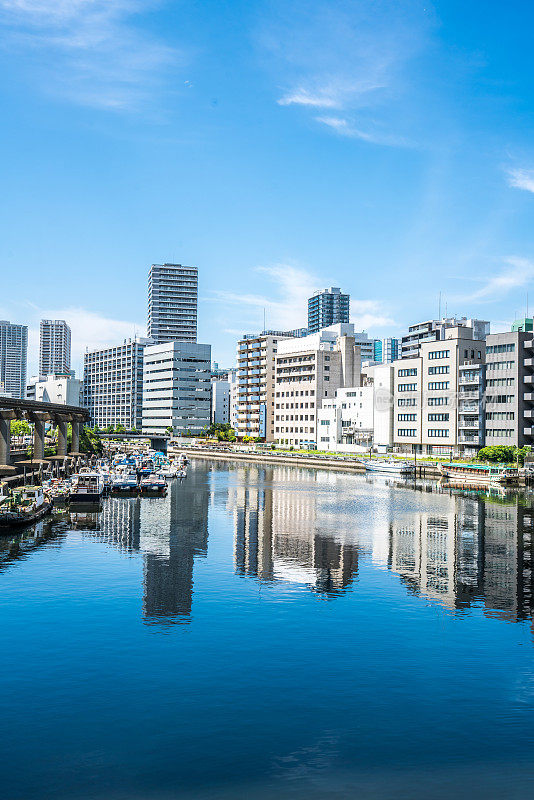 东京海边地区的高层办公楼和公寓楼