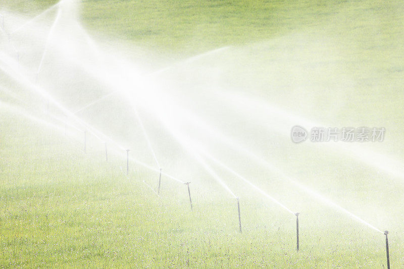 农业灌溉喷灌机喷洒农田作物