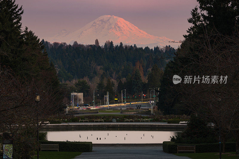 雷尼尔山