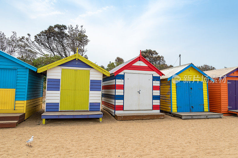 海滩小屋，布莱顿海滩，墨尔本，澳大利亚