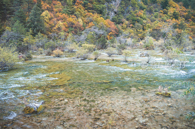 风景优美的木山和五花湖(九寨沟国家公园)，中国