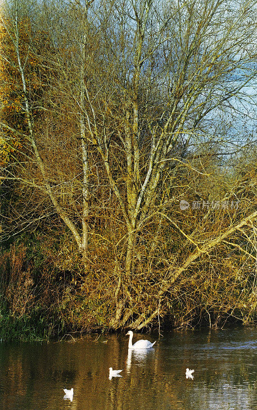英国伍斯特郡的埃文河-拍摄于电影中