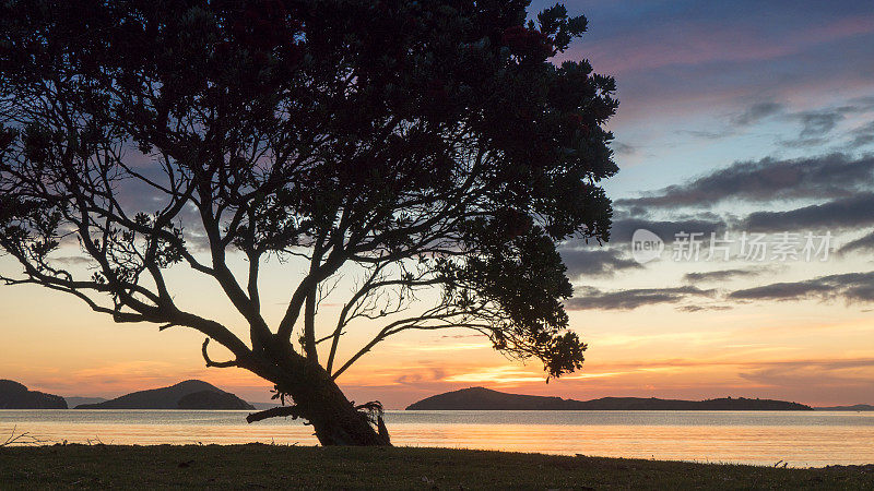 新西兰北岛科罗曼德尔镇北部基科瓦卡雷雷湾的日落