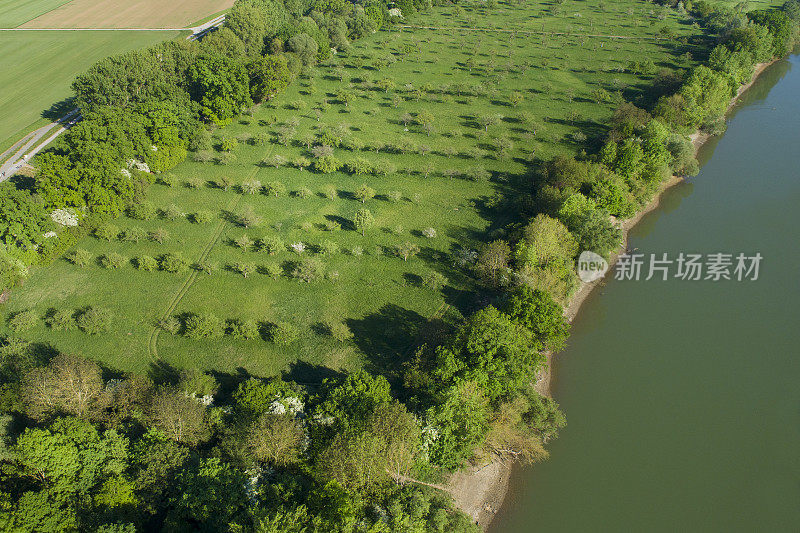 春季鸟瞰图果树种植园