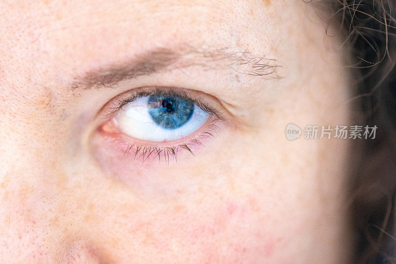 白种女人的蓝眼睛的特写
