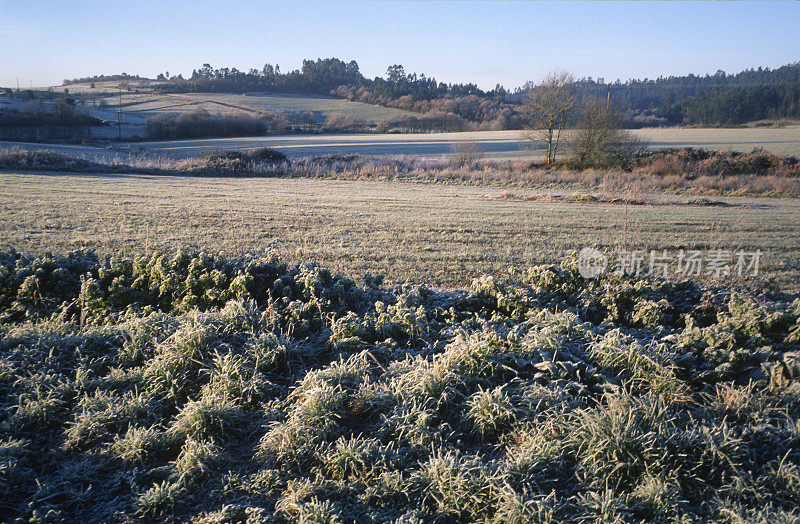 冬天，西班牙加利西亚的田野上覆盖着霜冻