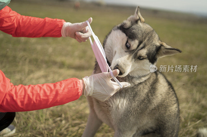 当你有狗的时候，就会有新的感觉