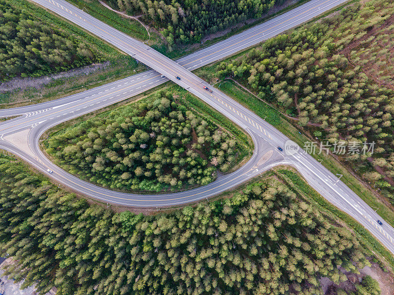 田园诗般的蜿蜒道路穿过芬兰的翠绿松林