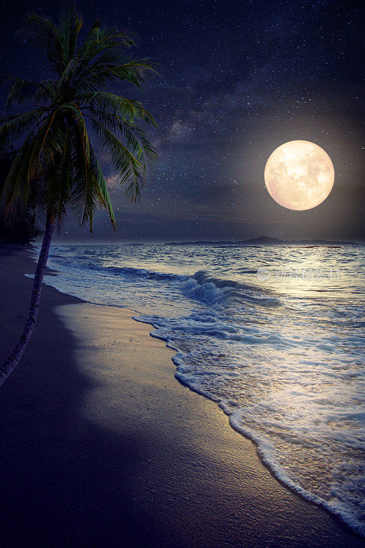 海滩与满月