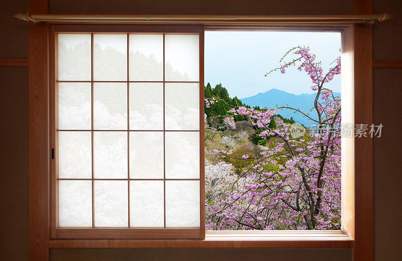 木制的日式推拉窗和外面美丽的樱桃树