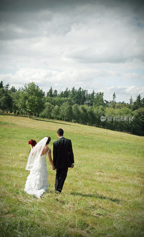 新婚夫妇在田野里散步