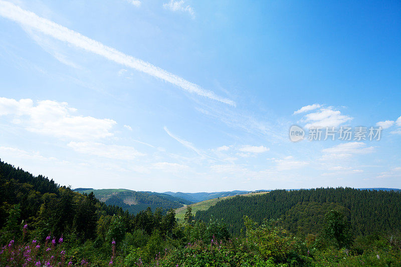 向西的罗萨吉伯奇全景