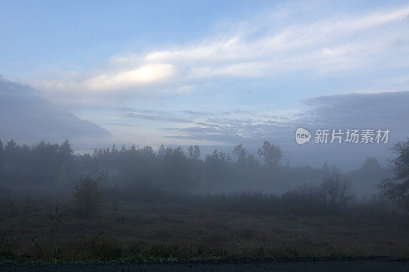 加拿大不列颠哥伦比亚省弗雷泽山谷的晨雾