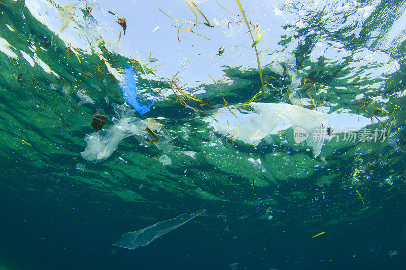 环境问题:海洋中的塑料袋