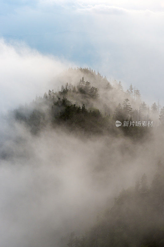 大烟山国家公园的薄雾山