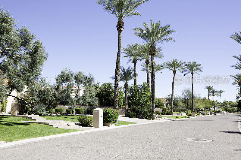 富裕的住宅区街道在斯科茨代尔，亚利桑那州