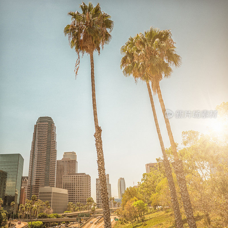 洛杉矶城市景象