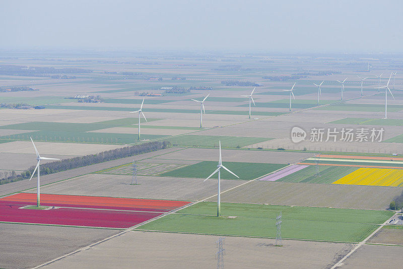 鸟瞰图风力涡轮机和郁金香花田