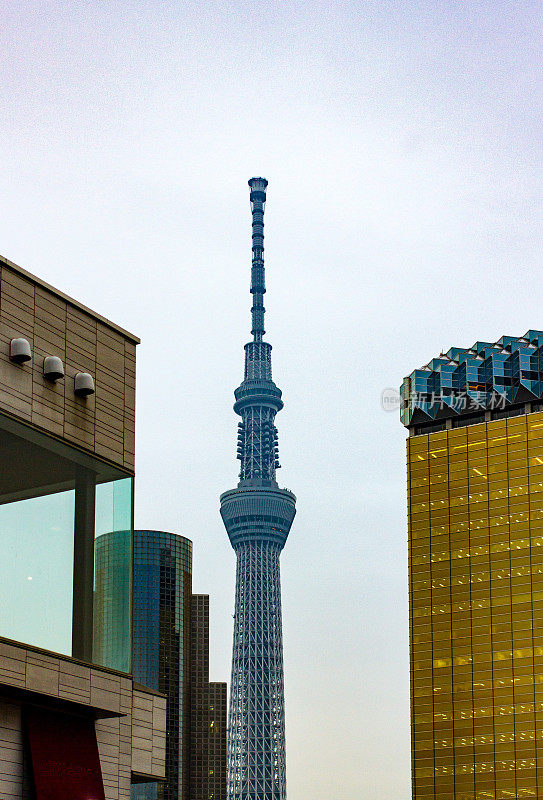 东京天空树