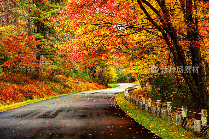 马萨诸塞州夸宾地区的秋天路