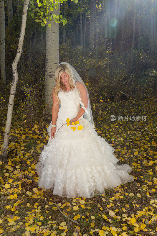 森林里的新娘