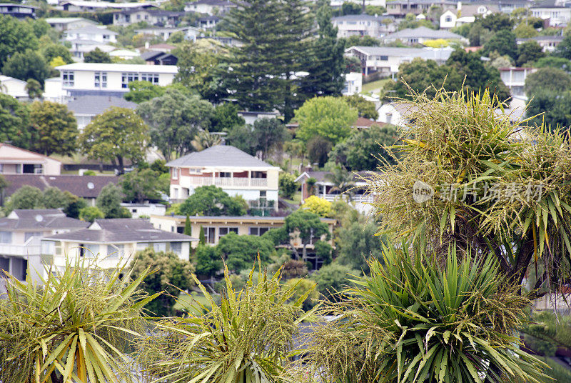 新西兰城市背景