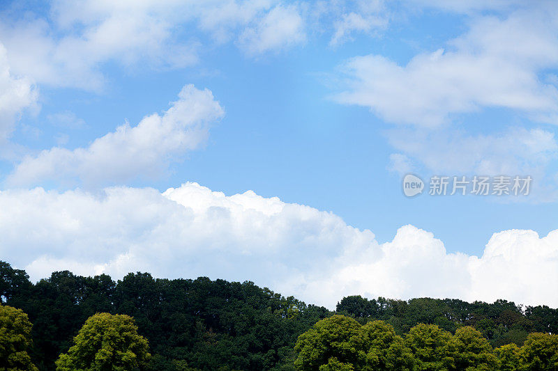 夏日树林上空的天空