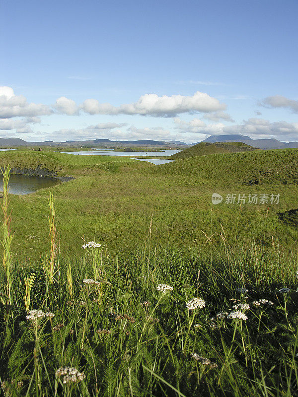 湖Myvatn、冰岛